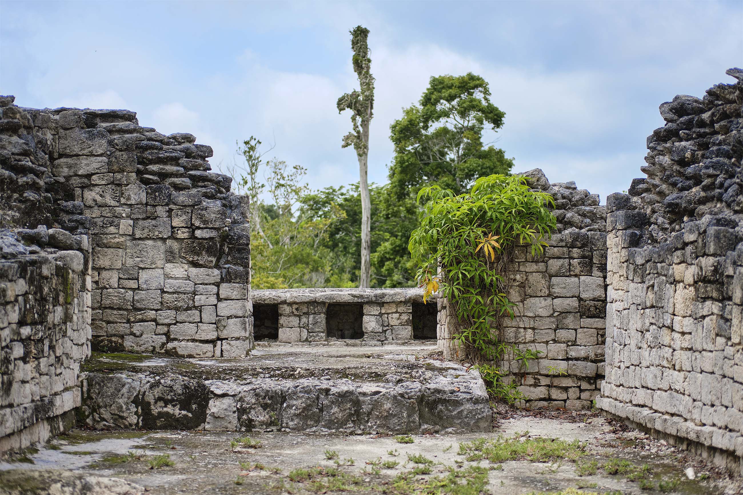 kohunlich mayan ruins tour